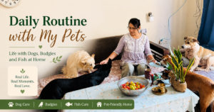Woman feeding multiple dogs at home during daily routine with pets in a pet-friendly living space