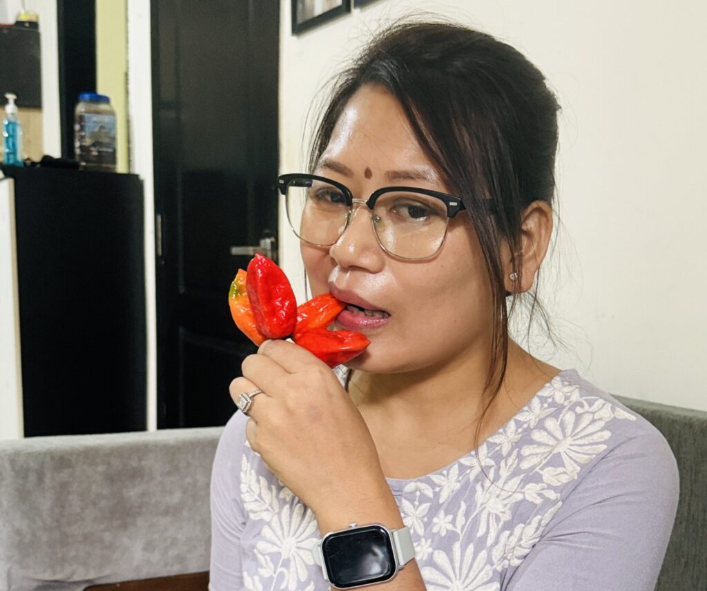 Trying one of the Ghost Peppers (Bhut Jolokia) grown in my own garden.